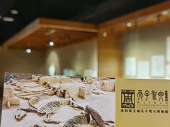 -洛阳周王城天子驾六博物馆