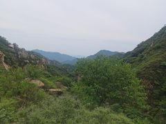 -大岭沟猕猴桃谷风景区