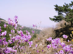 -青岛大珠山景区