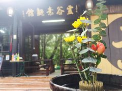 -灵谷景区