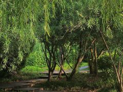 -郑东新区湿地公园