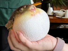 -永安鱼庄·镇江菜(东吴路店)