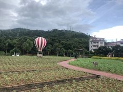 -玫瑰小镇