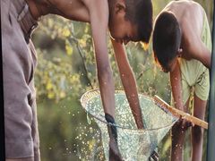-后湖小院·乡野田园菜
