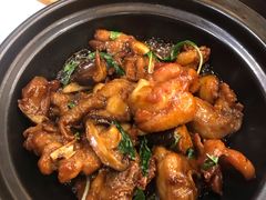 金不换三杯鸡煲-玉兰苑一等茶餐厅