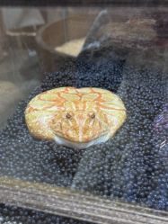 -Zoolung Zoolung动物主题公园(海信广场店)