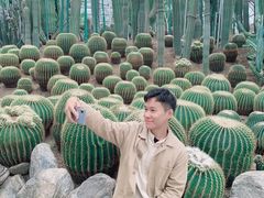 -南山植物园