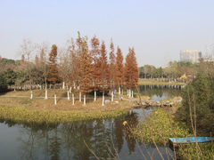 -大蜀山国家森林公园