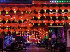 -南宫五洲植物乐园