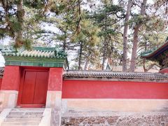 -普乐寺