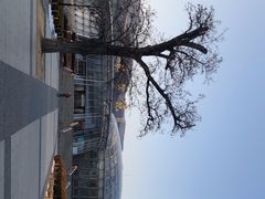 -北京植物园-展览温室