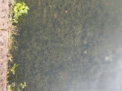 -尚贤河湿地