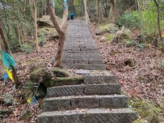 -龙坞茶村