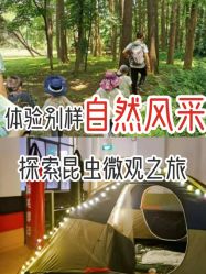 -麦粒鸟亲子游