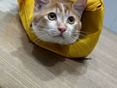 -荔康动物医院(康王北路店)