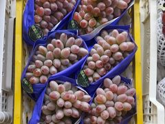 -马陆小张葡萄园农家乐