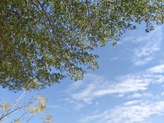 -肯德基(乐峰店)