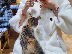 -贵州私房菜(万达天玺小区店)