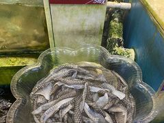 -旺富东海大酒楼(海鲜街店)