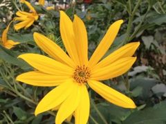 -黑龙江省森林植物园