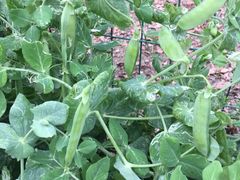 -乡乐园蟹庄·阳澄湖农家乐