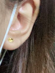 -花师傅