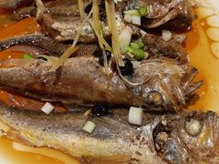 -稻香酒家·33年老字号·港式粤菜(富邦中心店)