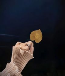 -WAVE SODA摄影工作室