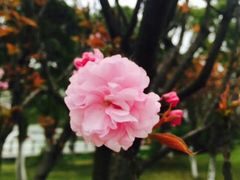 -艾溪湖湿地公园