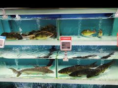 -盒马鲜生(财富中心店)