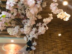 景观位-大鲤深夜食堂