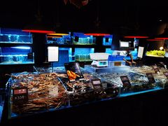 水产区-徐记海鲜(汉城湖|太奥店)