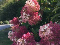 -中国建设银行哈尔滨培训中心