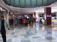 -鹏欣水游城