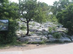 -原山国家森林公园