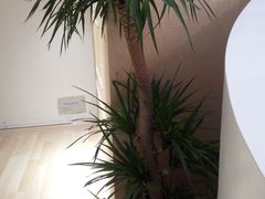 -星美科技皮肤管理中心(国贸店)