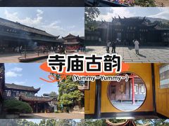 -峨眉山报国寺