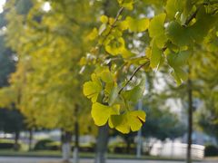 -四川大学(江安校区)