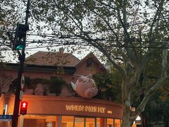 -WHEN PIGS FLY当猪飞
