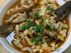 红烧狗鱼-煲来饱去冷水鱼