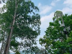 -火炉山森林公园