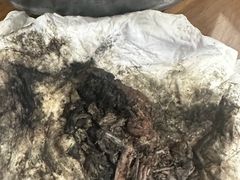 -御面斋精品面馆