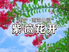 -南宁南湖公园
