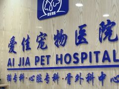-爱佳宠物中心医院24H·CT·骨外科·猫专科(瑶海万达店)