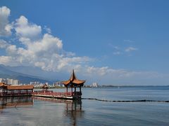 -洱海月湿地公园