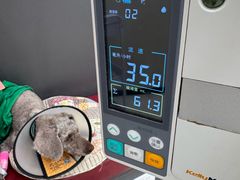 -御宝贝24h宠物医院·转诊中心·CT核磁血透中心(厦门总院)