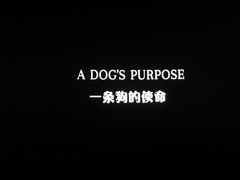 -成都百丽宫影城(LUXE太古里店)