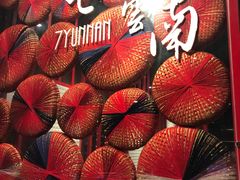 -七彩云南(八德店)