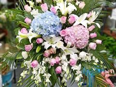 -淘花源花艺鲜花店 开业花篮 绿植(南部商务区店)