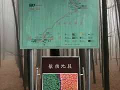 -山王坪喀斯特国家生态公园